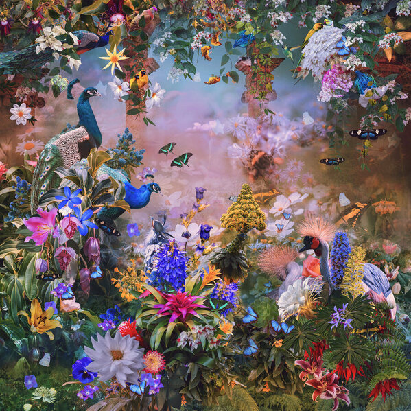 Photograph Collins Magdalen Birds In The Garden on One Eyeland